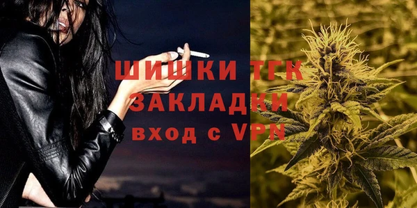 СК Бронницы