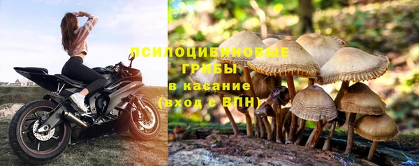 СК Бронницы