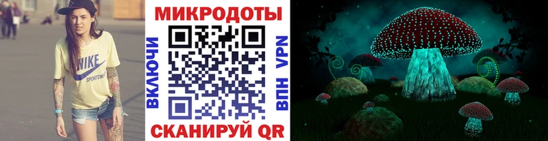 Псилоцибиновые грибы Psilocybe  наркота  Кемь 